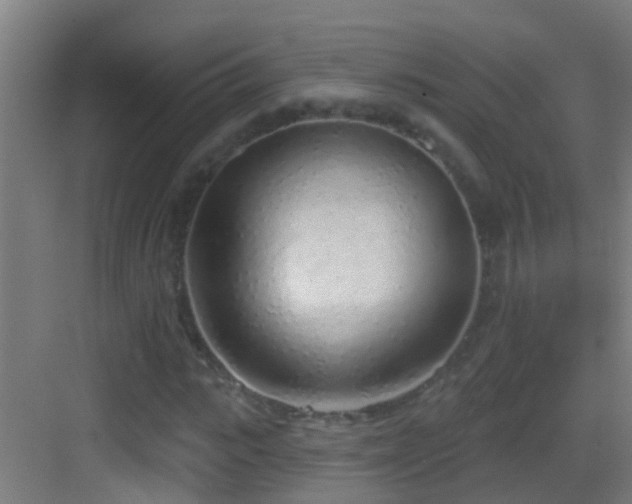 X0000083590919200702091149