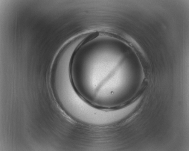 X0000083590924200702091149