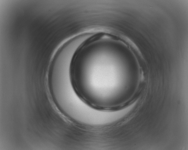 X0000083590936200702091149
