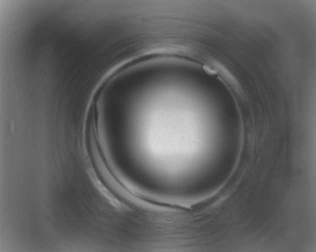 X0000083590940200702091150
