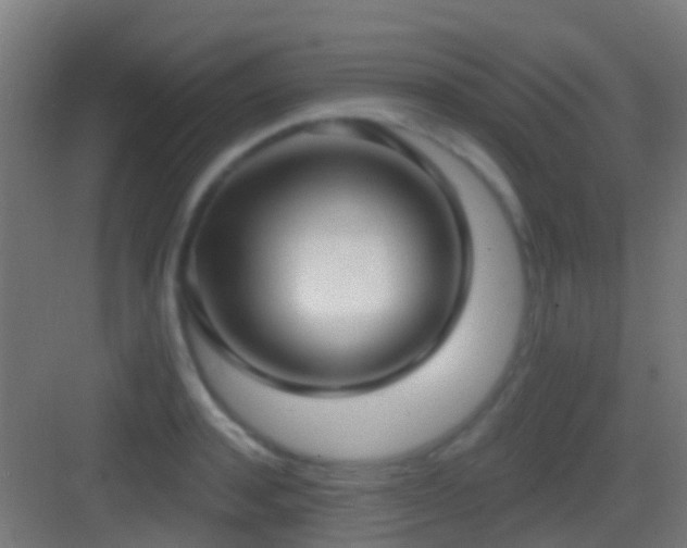 X0000083590944200702091150
