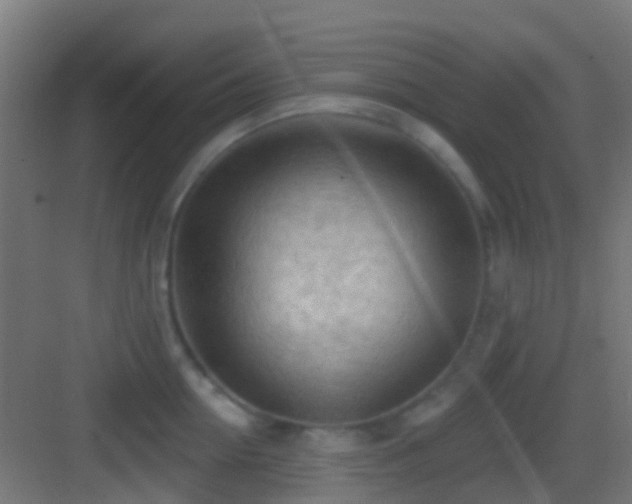 X0000083590954200702091150