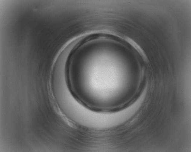 X0000083590956200702091150