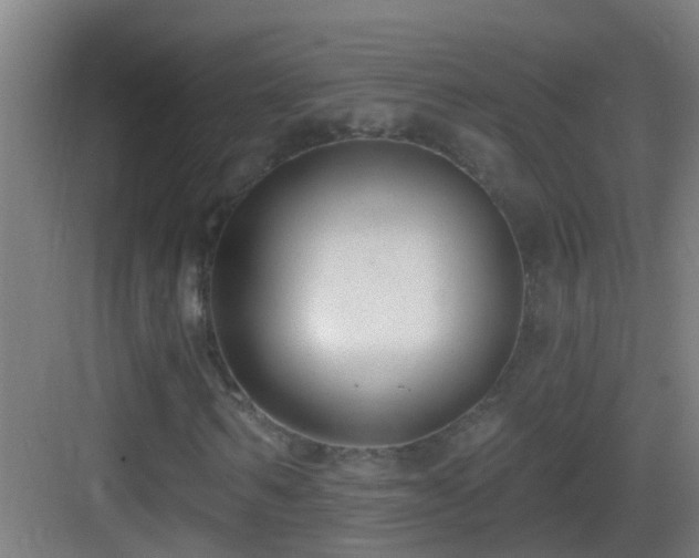X0000083590962200702091149