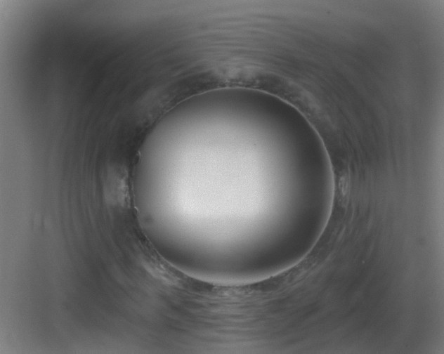 X0000083590963200702091149