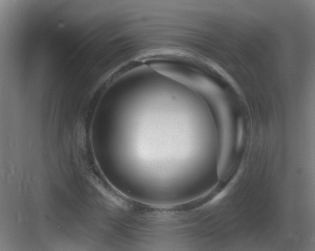 X0000083590969200702091149