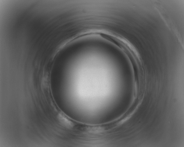 X0000083591001200702091148