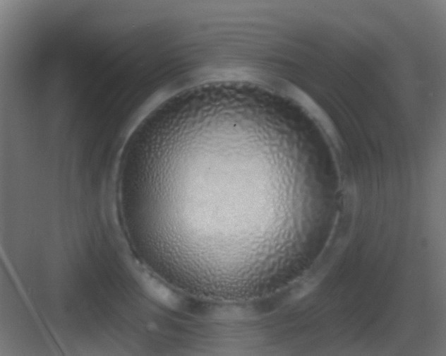 X0000083591002200702091148
