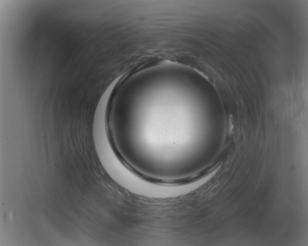 X0000083591010200702091147
