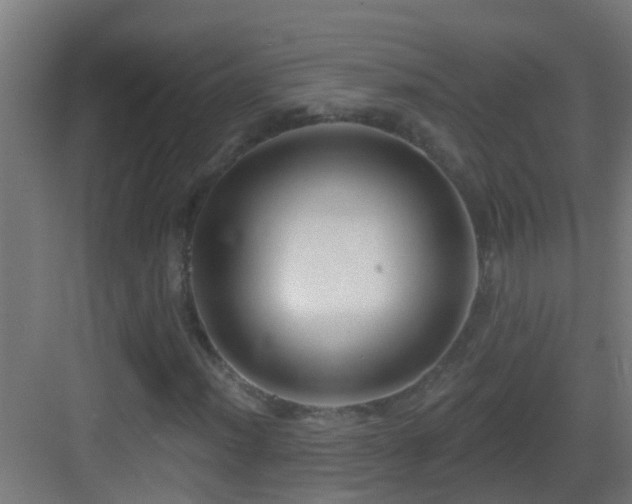 X0000083591012200702091147