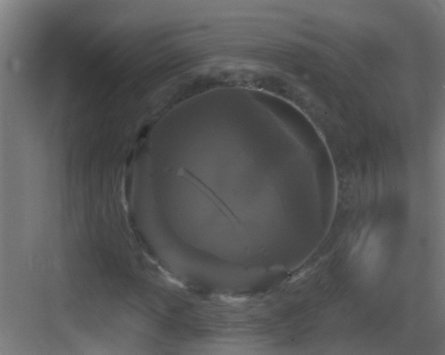 X0000083591013200702091148