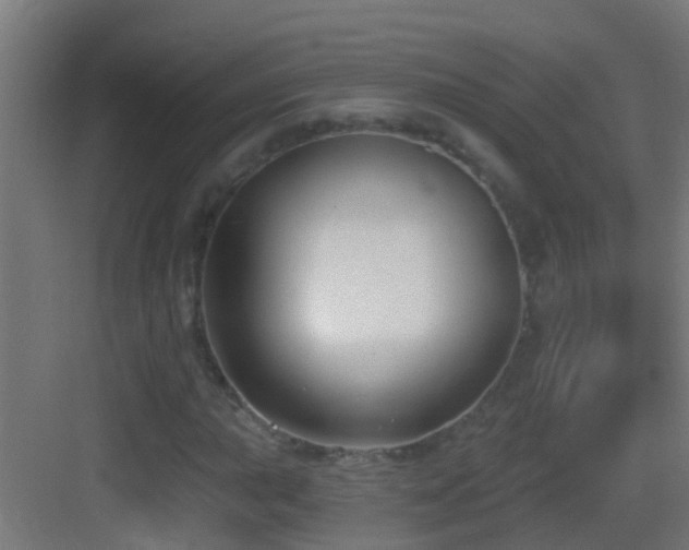 X0000083591015200702091148