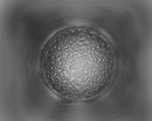 X0000083591023200702091148