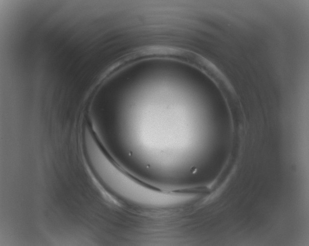 X0000083591033200702091148