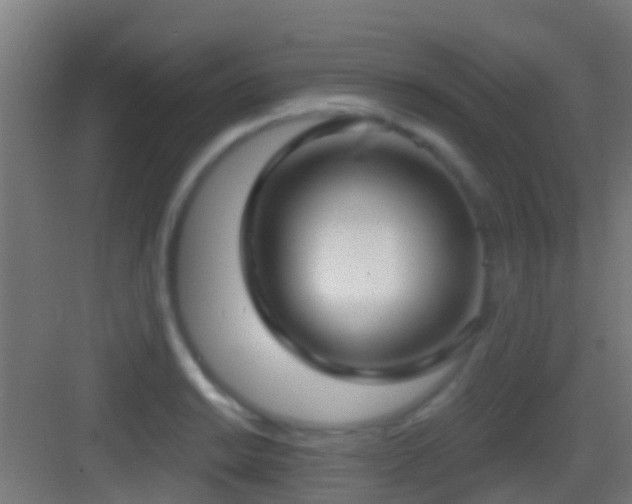 X0000083591038200702091148
