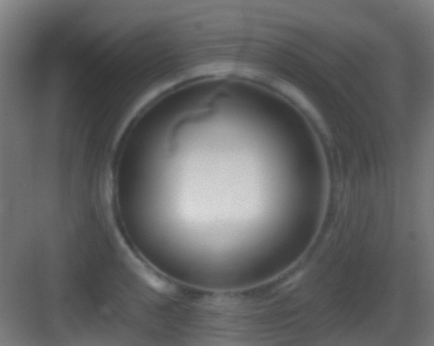 X0000083591040200702091148