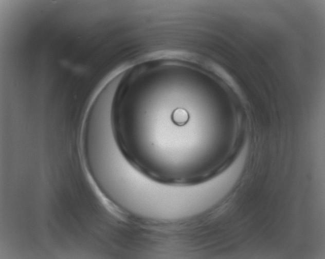X0000083591050200702091148