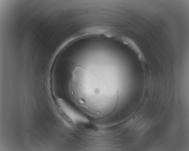 X0000083591051200702091148