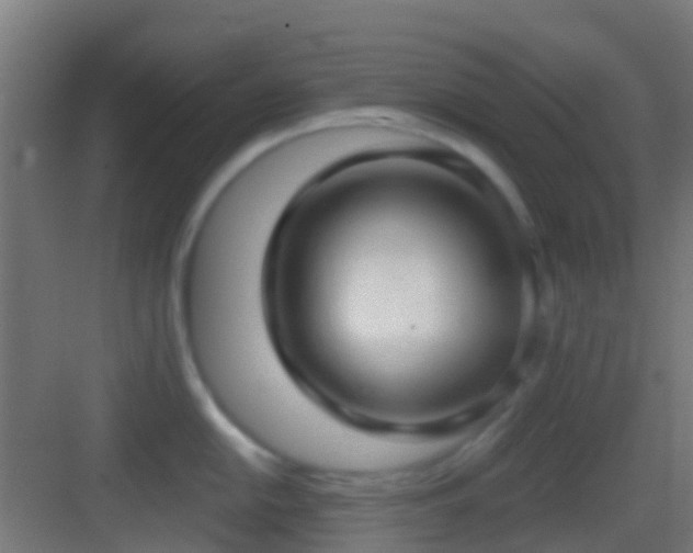 X0000083591054200702091148