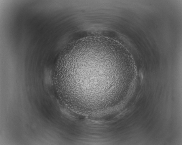 X0000083591060200702091147