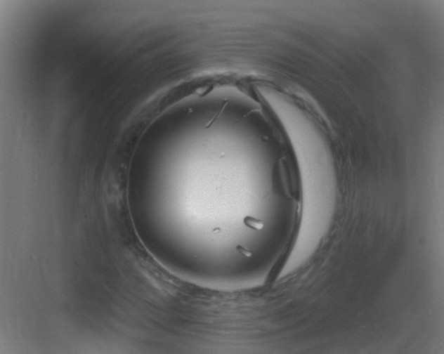 X0000083591064200702091147