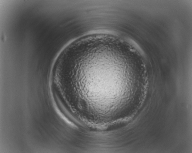 X0000083591084200702091147