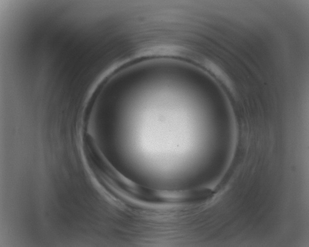 X0000083591085200702091147