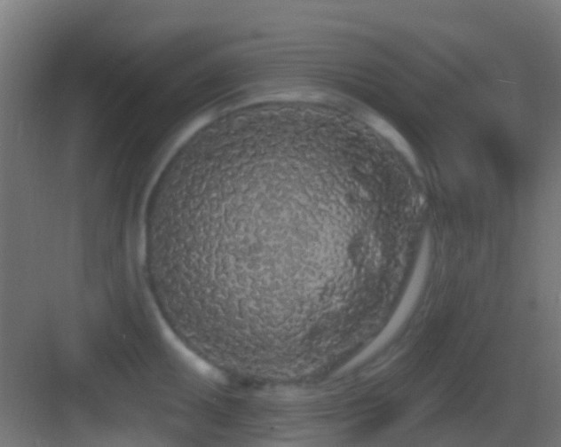 X0000083591095200702091147