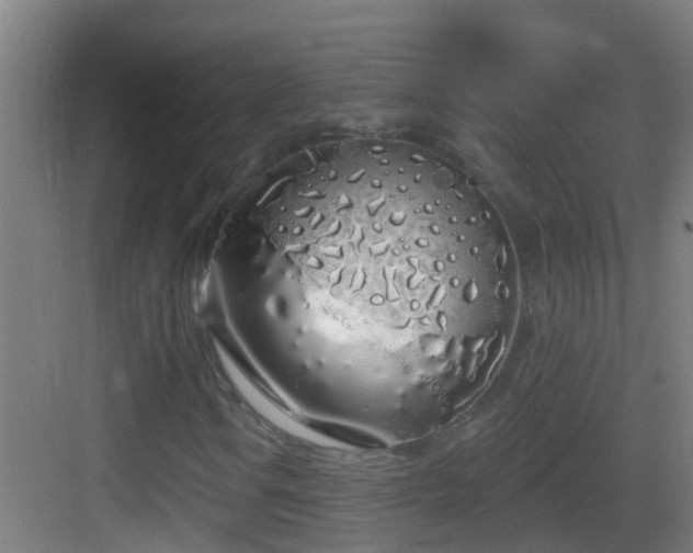 X0000083591106200702091146