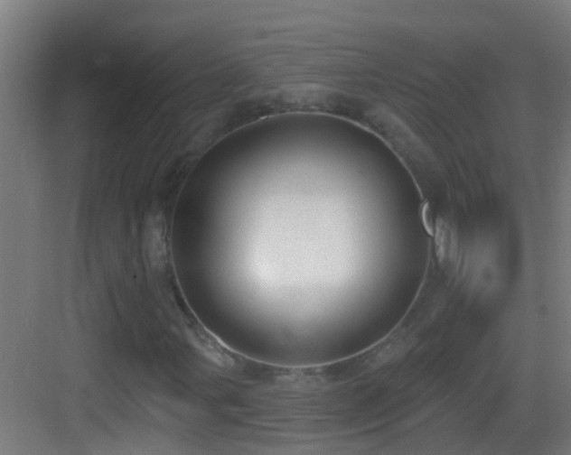 X0000083591107200702091146