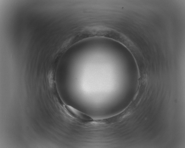 X0000083591108200702091146