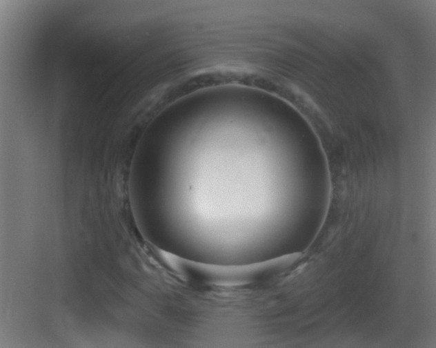 X0000083591110200702091146