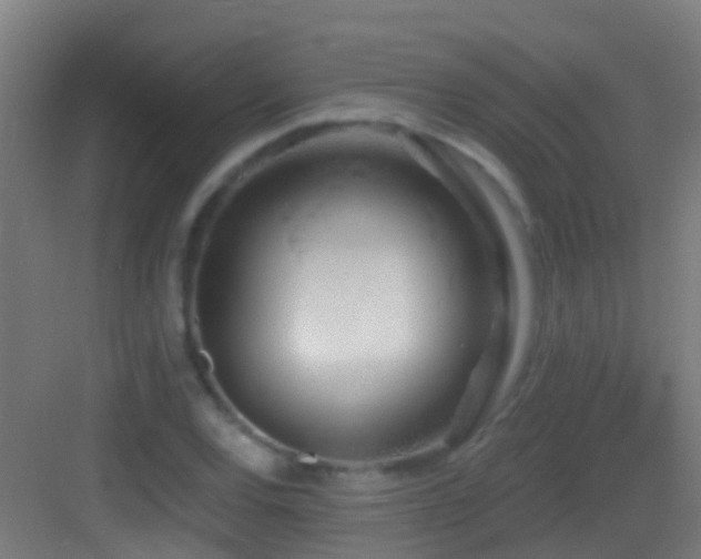 X0000083591120200702091146