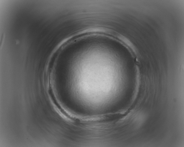 X0000083591127200702091146