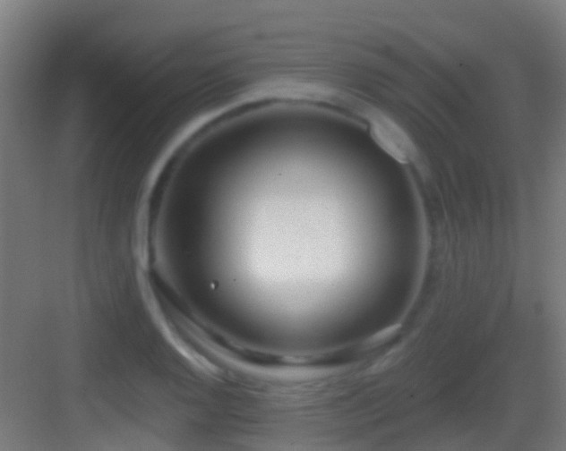 X0000083591128200702091146