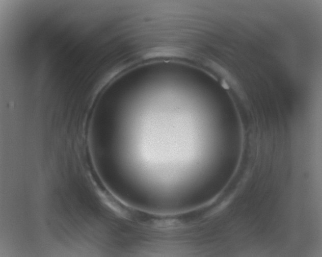 X0000083591129200702091146