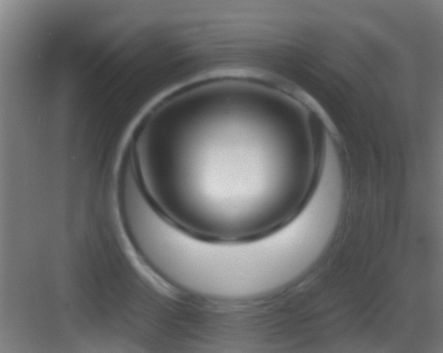 X0000083591132200702091146