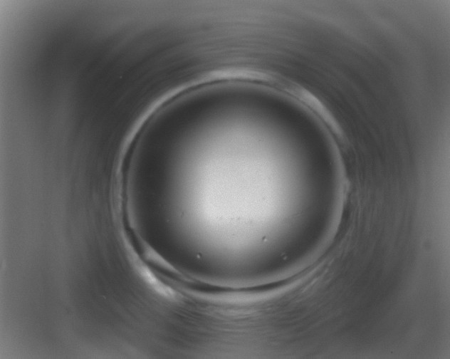 X0000083591140200702091146