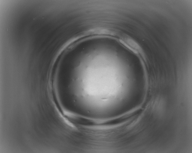 X0000083591141200702091146