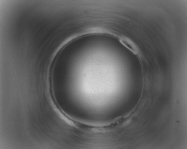 X0000083591142200702091146