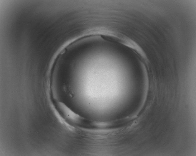 X0000083591144200702091146
