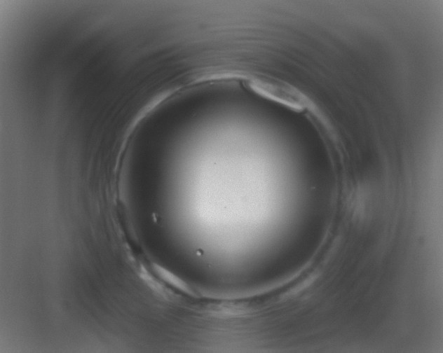 X0000083591145200702091147