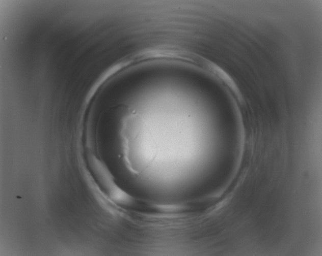 X0000083591146200702091147