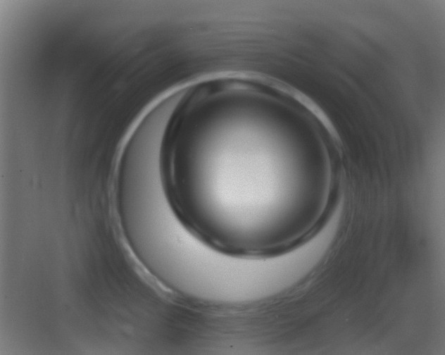 X0000083591148200702091147