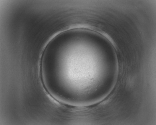 X0000083591151200702091147