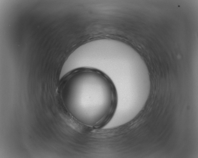 X0000083591156200702091146