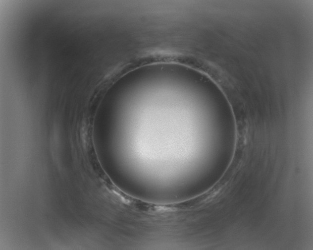 X0000083591157200702091146