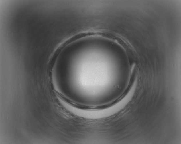 X0000083591160200702091146