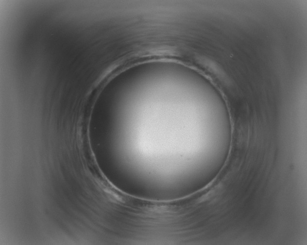 X0000083591162200702091146