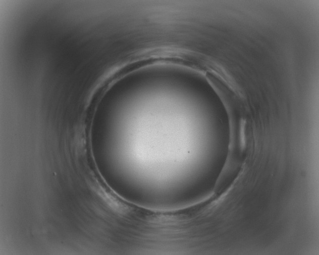 X0000083591164200702091146